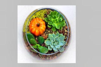 Plant Nite: Succulents in Rose Bowl with Fall Pumpkin